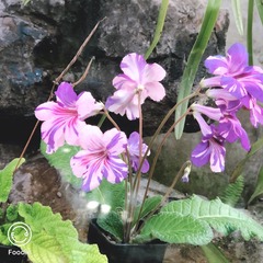 56FD4382-09DC-4CB1-82F4-C2AE77916A20/L0/001