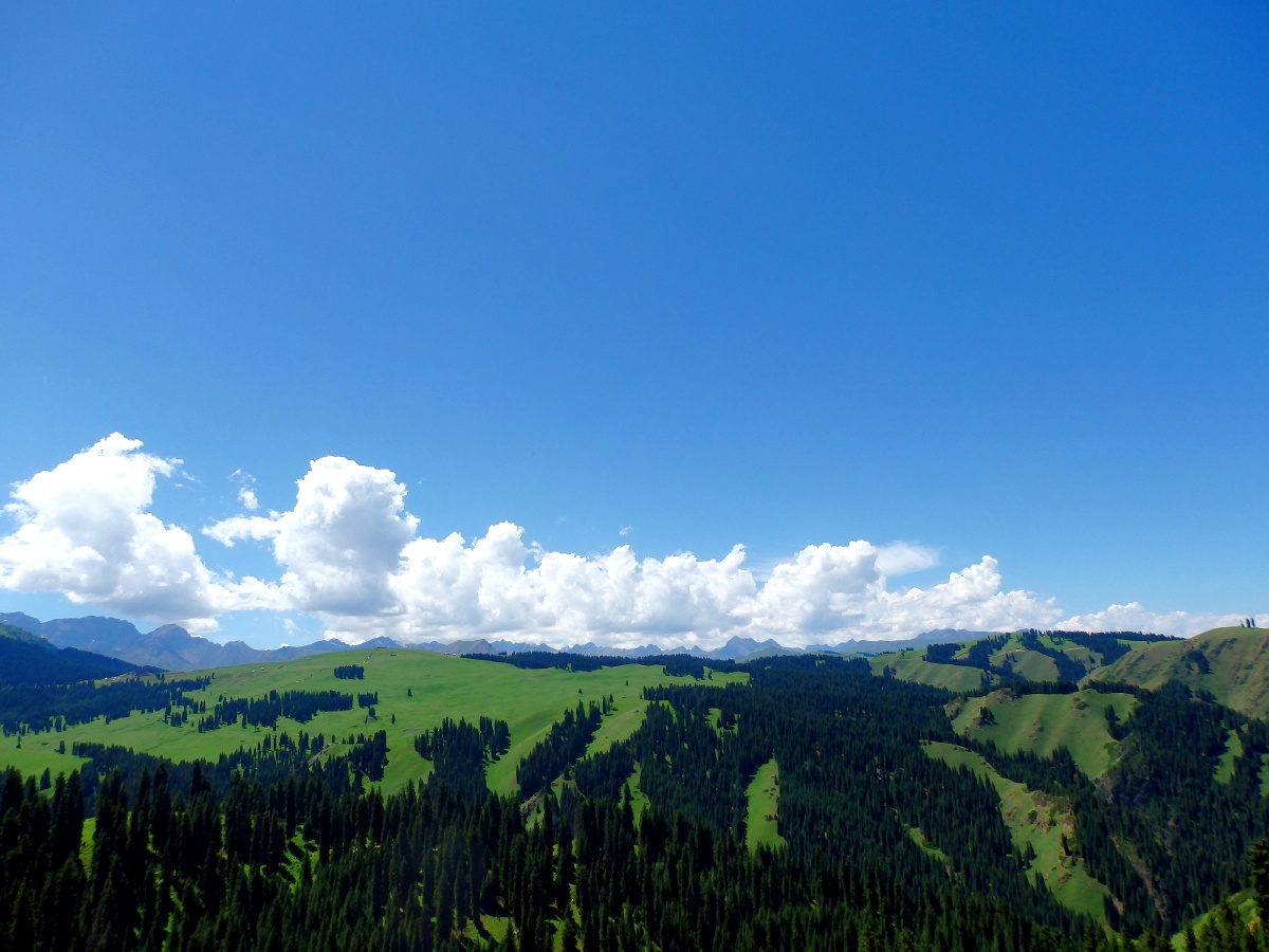 山丘 绿 蓝天白云