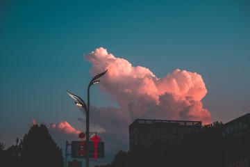 6259