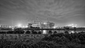 DSC_8859©