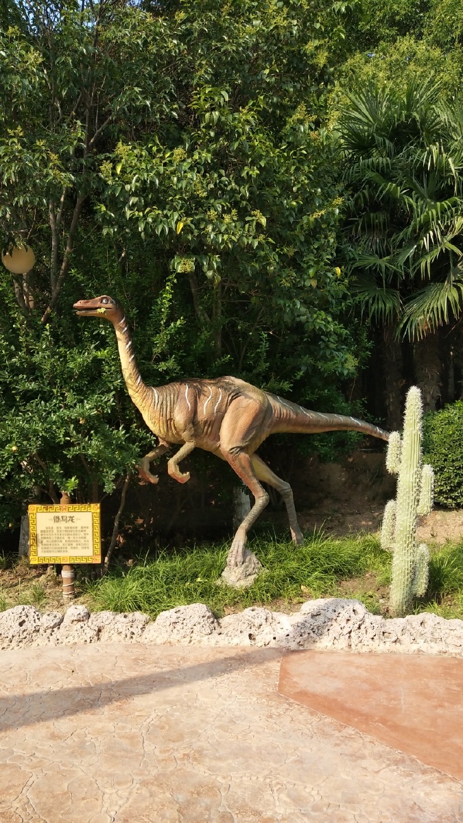 恐龙- 远看山有色近听水无声 - 图虫