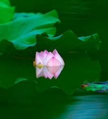 001