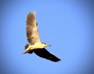 7C5D956D-EBCE-459F-AC34-FB8A72A1866F/L0/001