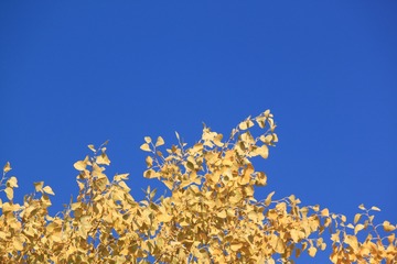 106303