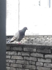 218804