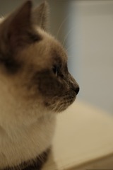 379D0A84-AB94-4FDF-836F-0D95205722F5/L0/001