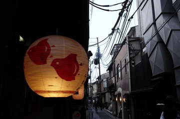 C66B8413-3C1D-403F-A78F-5A81C2799EF3/L0/001