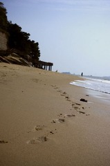 _IGP8424.jpg