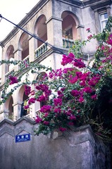 _IGP8508.jpg