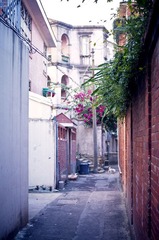 _IGP8506.jpg