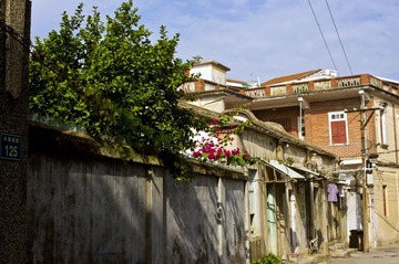 _IGP8649.jpg