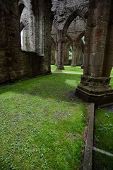 Tintern Abbey