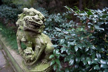 Tianyi pavilion- 8365