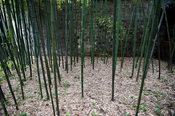 Tianyi pavilion- 8358