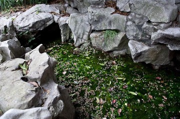 Tianyi pavilion- 8299