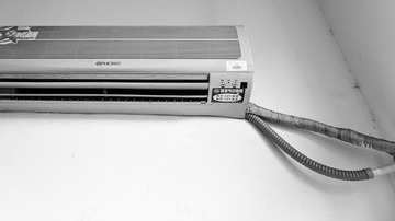 Fan Zi Jie- 9019