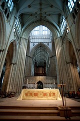 Yorkminster- 3794