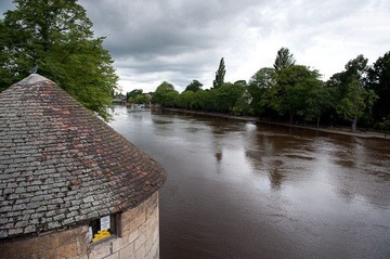 York street view- 3659