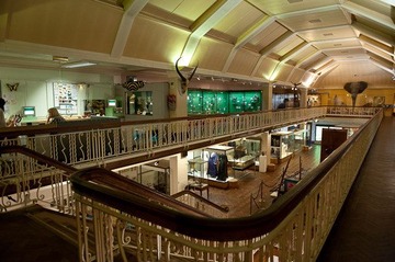 Museum of Bolton