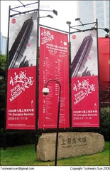 第七届上海双年展 - (1)