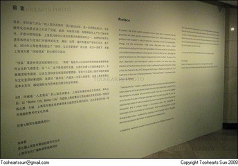 第七届上海双年展 - (46)