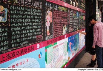 第七届上海双年展 - (51)