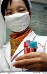 Marrow donation 2005 - 3