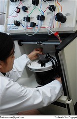 Marrow donation 2005 - 6