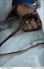 Marrow donation 2005 - 8