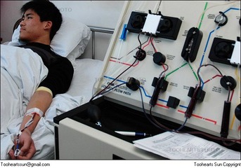 Marrow donation 2005 - 9