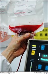 Marrow donation 2005 - 10