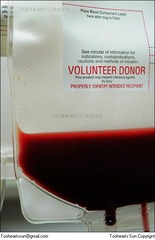 Marrow donation 2005 - 12