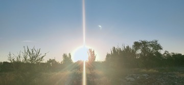 55