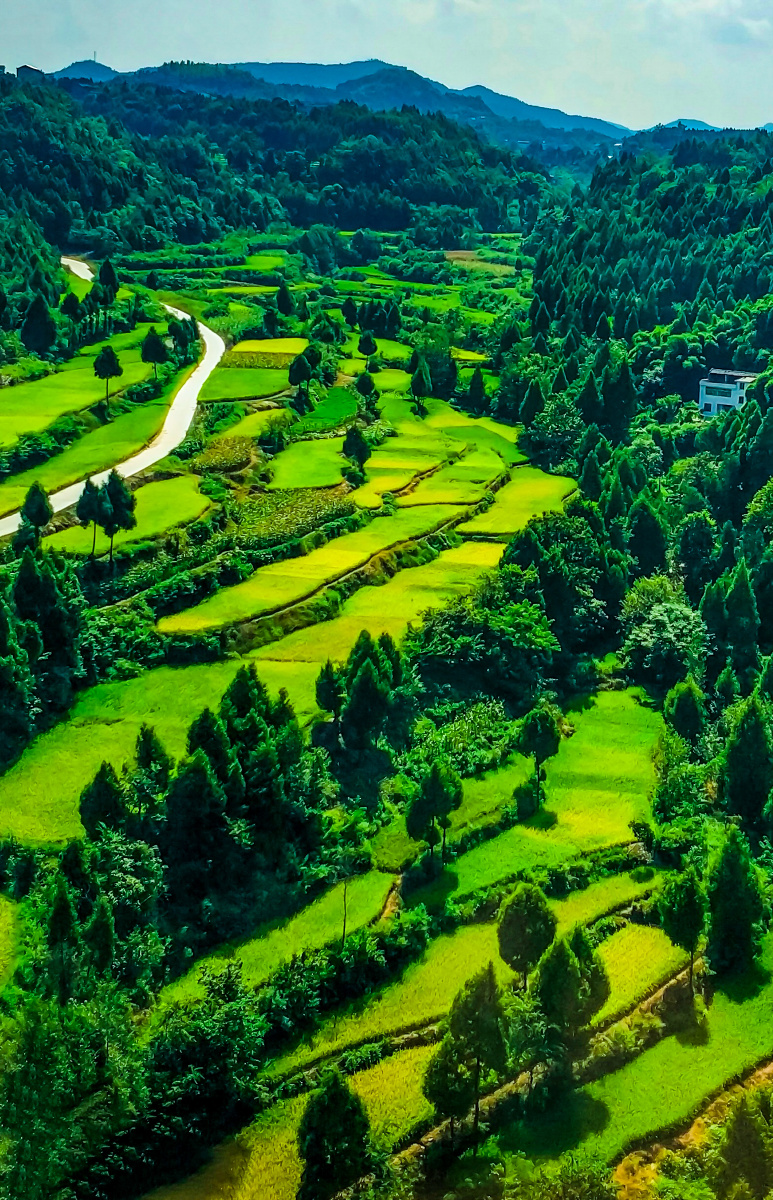 《美丽田园》,手机抓拍于西安-重庆高铁途中. - summer在西安 - 图虫