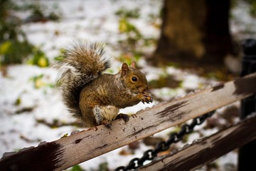 IMG_6398.jpg