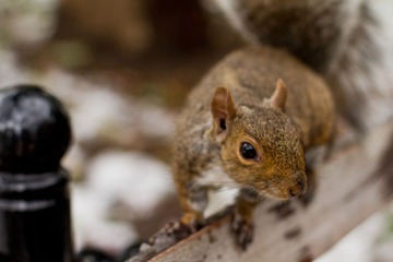 IMG_6406.jpg