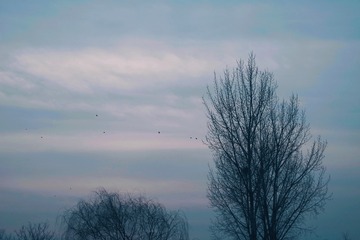 6E3164C3-BA00-4F4F-91D0-B6290F105C11/L0/001