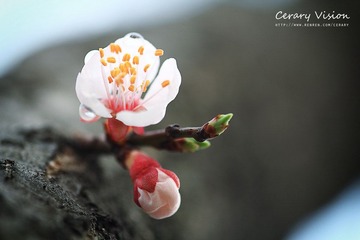 IMG_0132副本.jpg