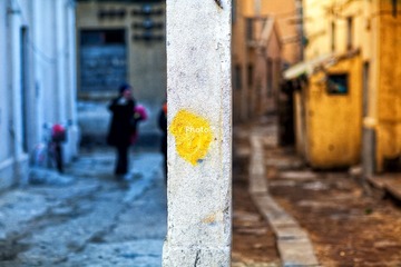 IMG_7145.jpg