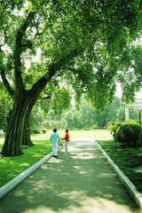 IMG_1672.jpg