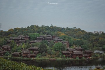4260689