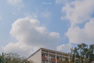 4248682