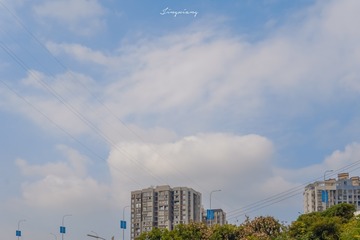 4248677