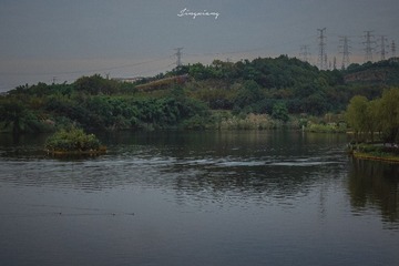 4260692