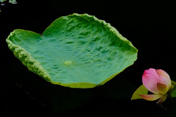 D7F32710-2566-47AD-A97A-5B20553791A3/L0/001