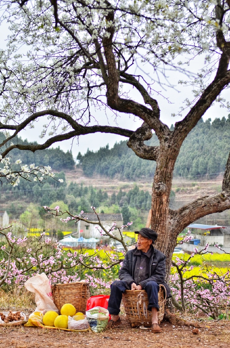 795_1200竖版 竖屏