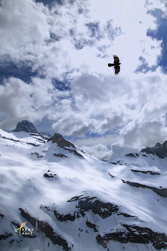 摄于瑞士铁力士雪山顶峰(海拔3238米).