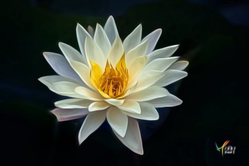 001