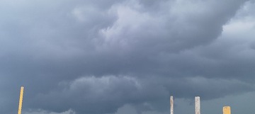 1000016431