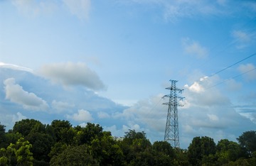 66031
